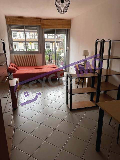 Studio meublé 26.67m² à louer à la  Krutenau avec une pièce donnant sur un balcon