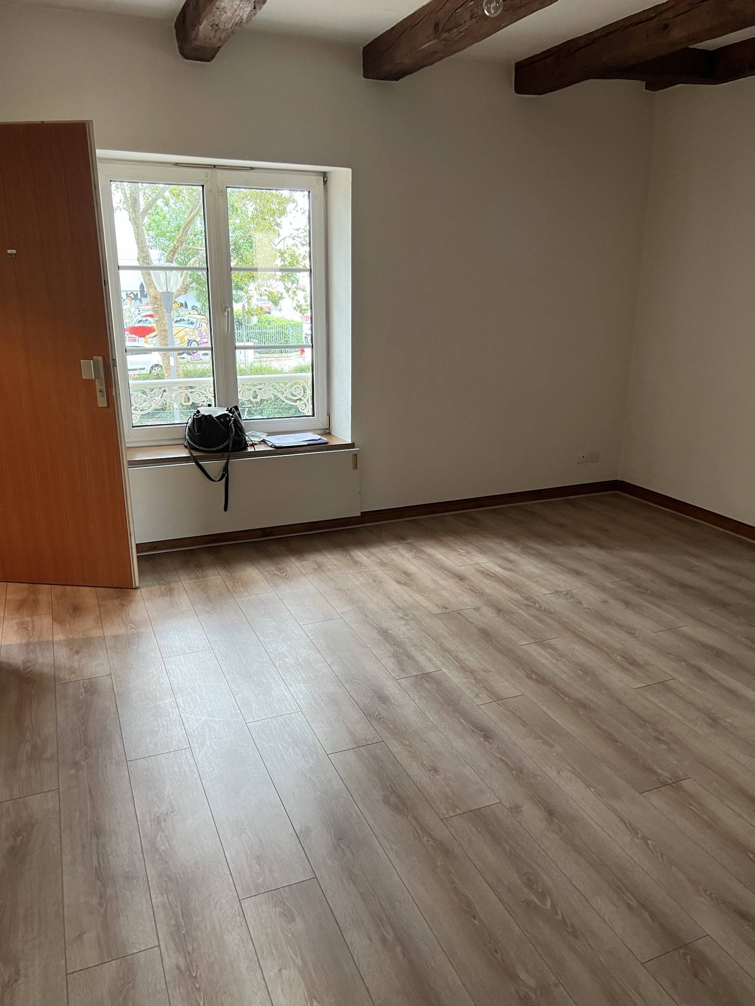 Charmant Studio au Cœur des Facultés de Strasbourg