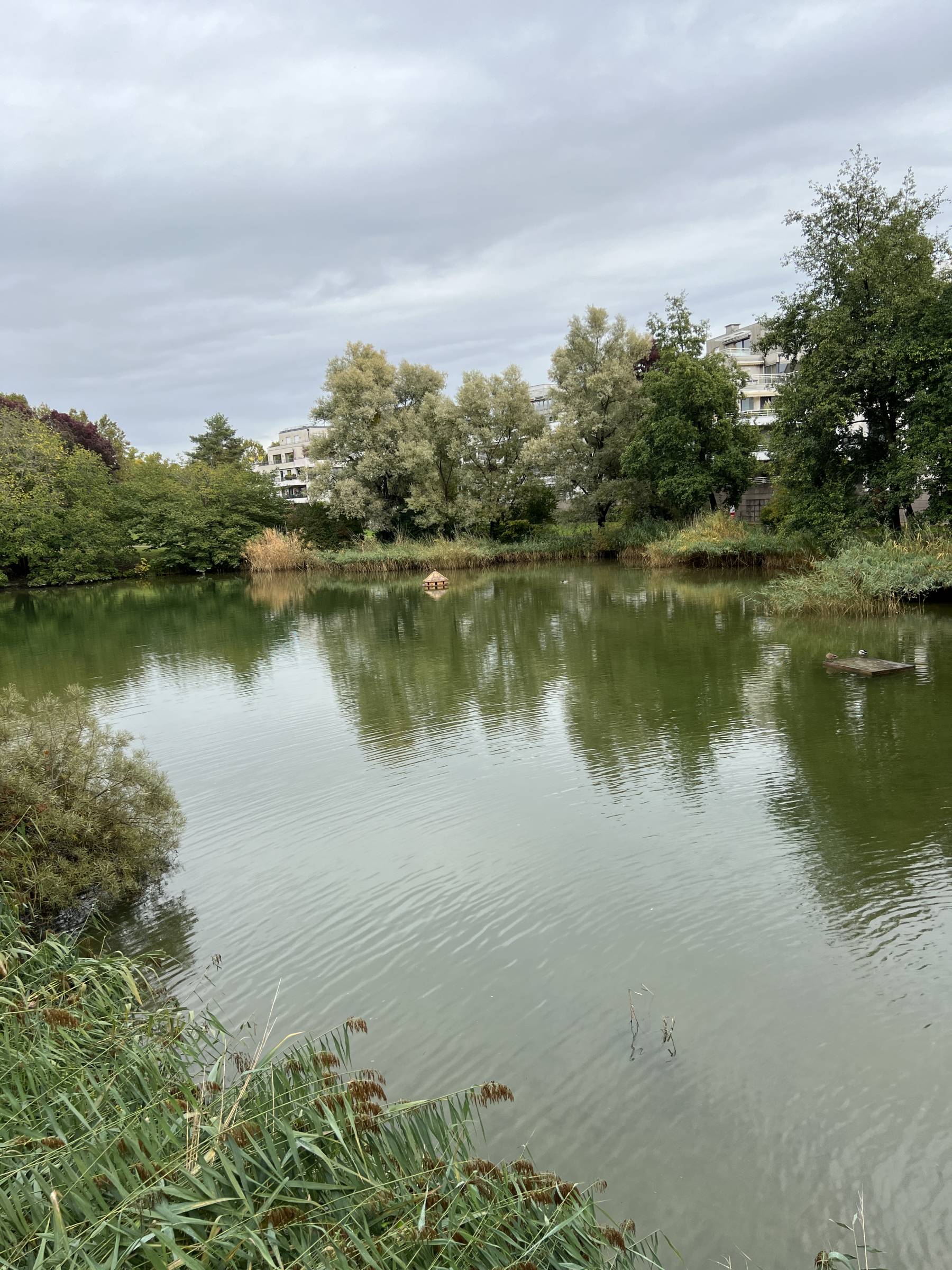 Appartement à louer, 3 pièces de 68.64m² – Quartier Orangerie Bon Pasteur