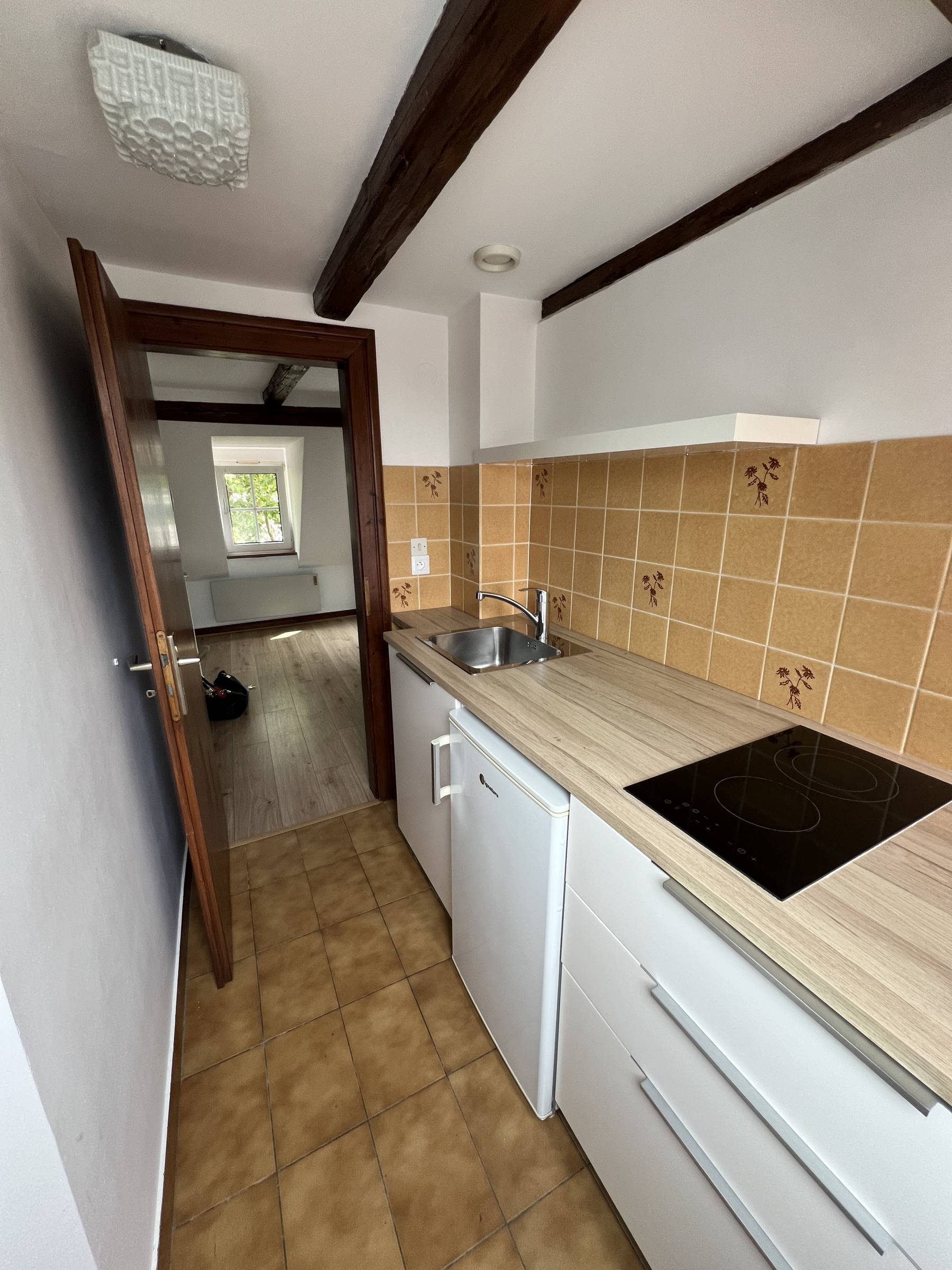 QUARTIER ESPLANADE-KRUTENAU 2 pièces de 37m² au sol charme et authenticité