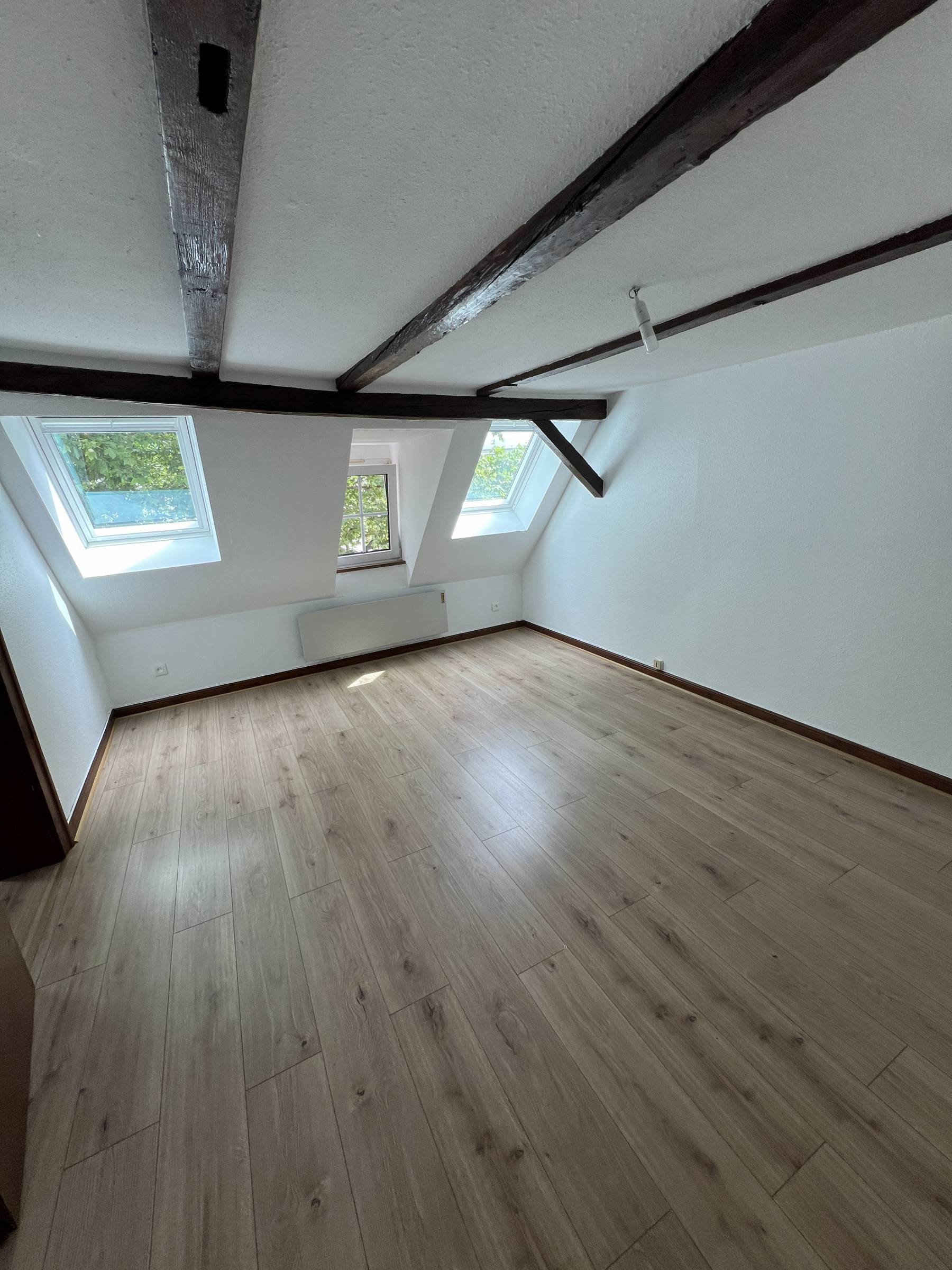 QUARTIER ESPLANADE-KRUTENAU 2 pièces de 37m² au sol charme et authenticité