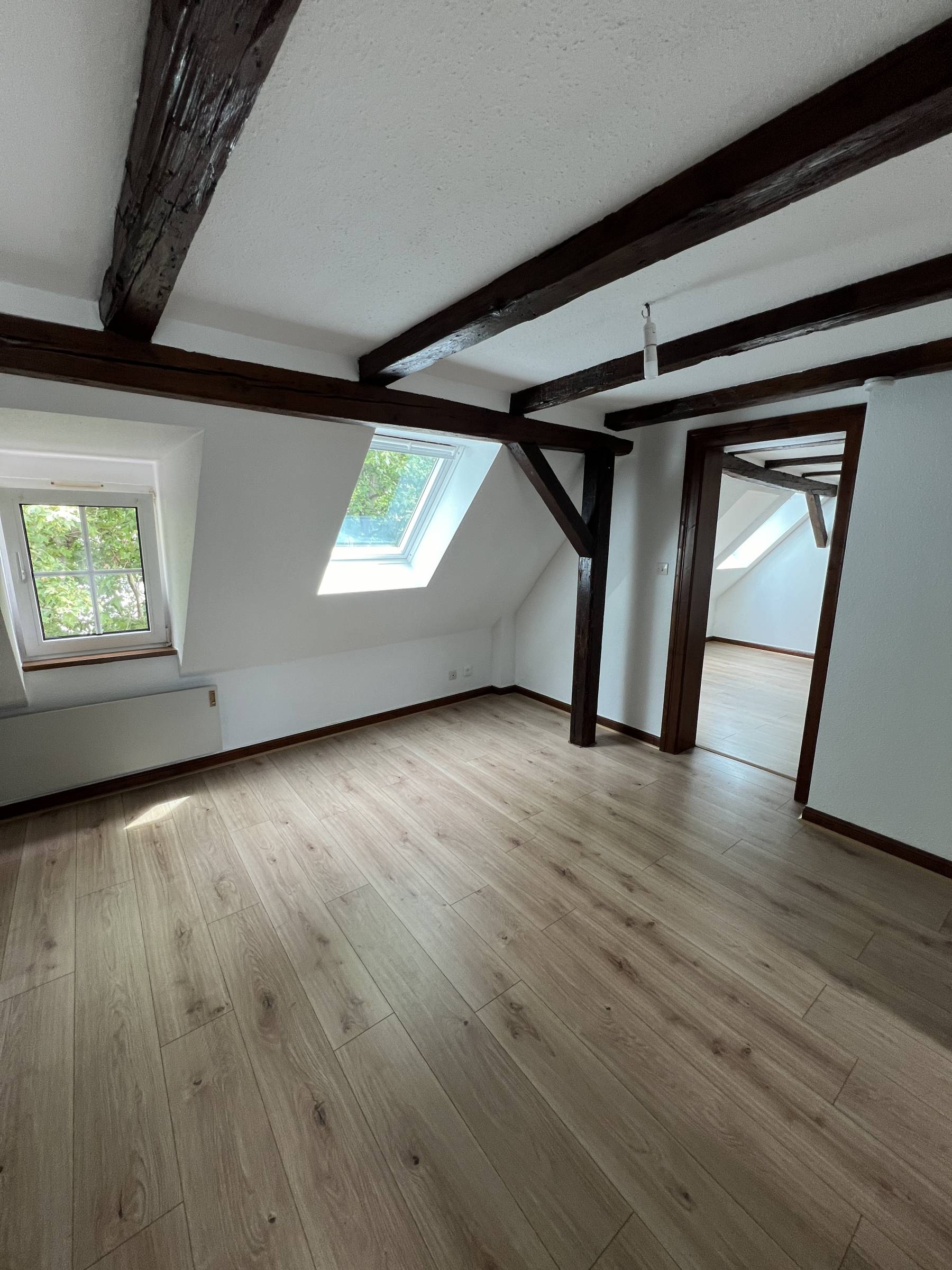 QUARTIER ESPLANADE-KRUTENAU 2 pièces de 37m² au sol charme et authenticité