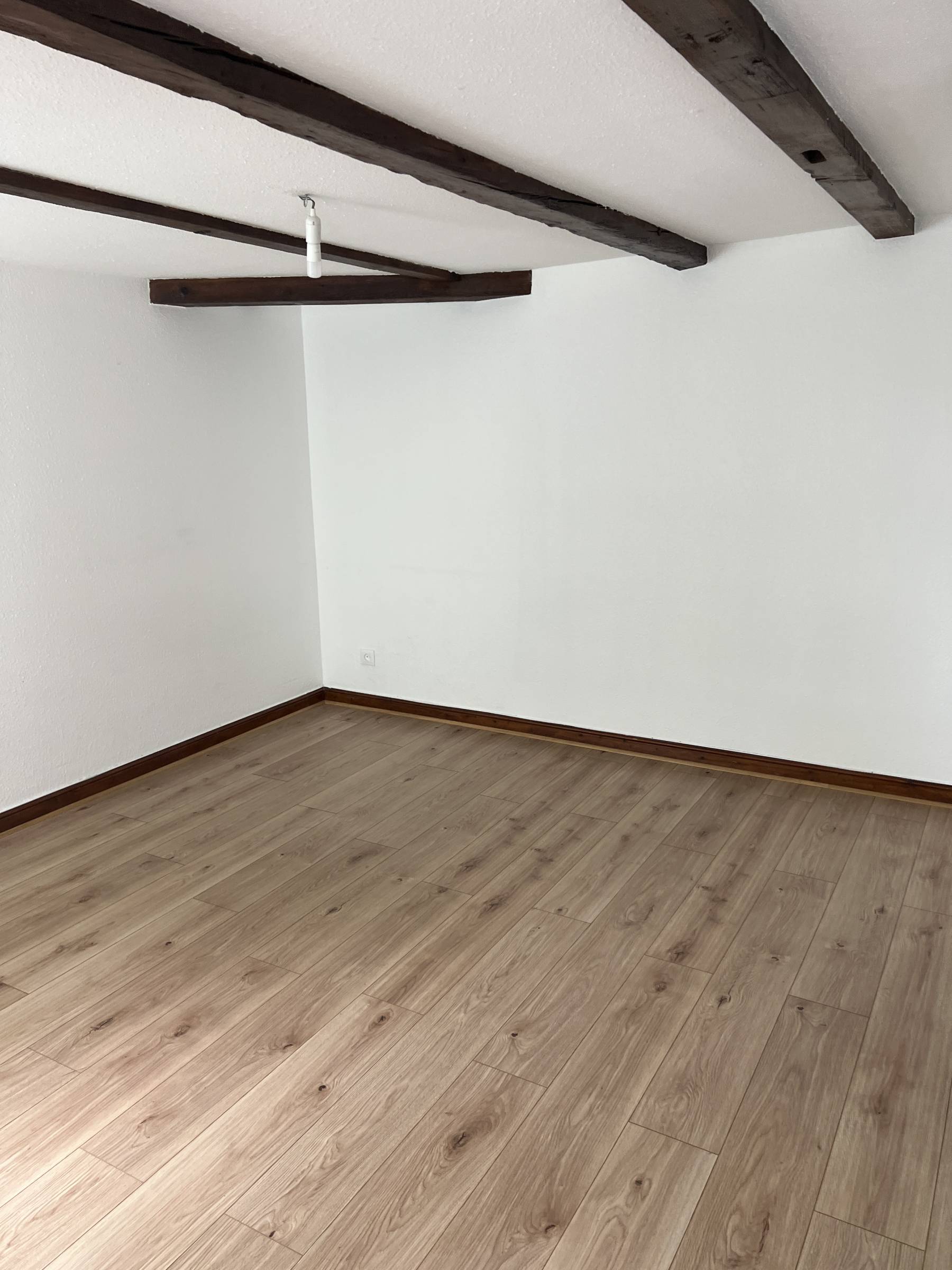 QUARTIER ESPLANADE-KRUTENAU 2 pièces de 37m² au sol charme et authenticité