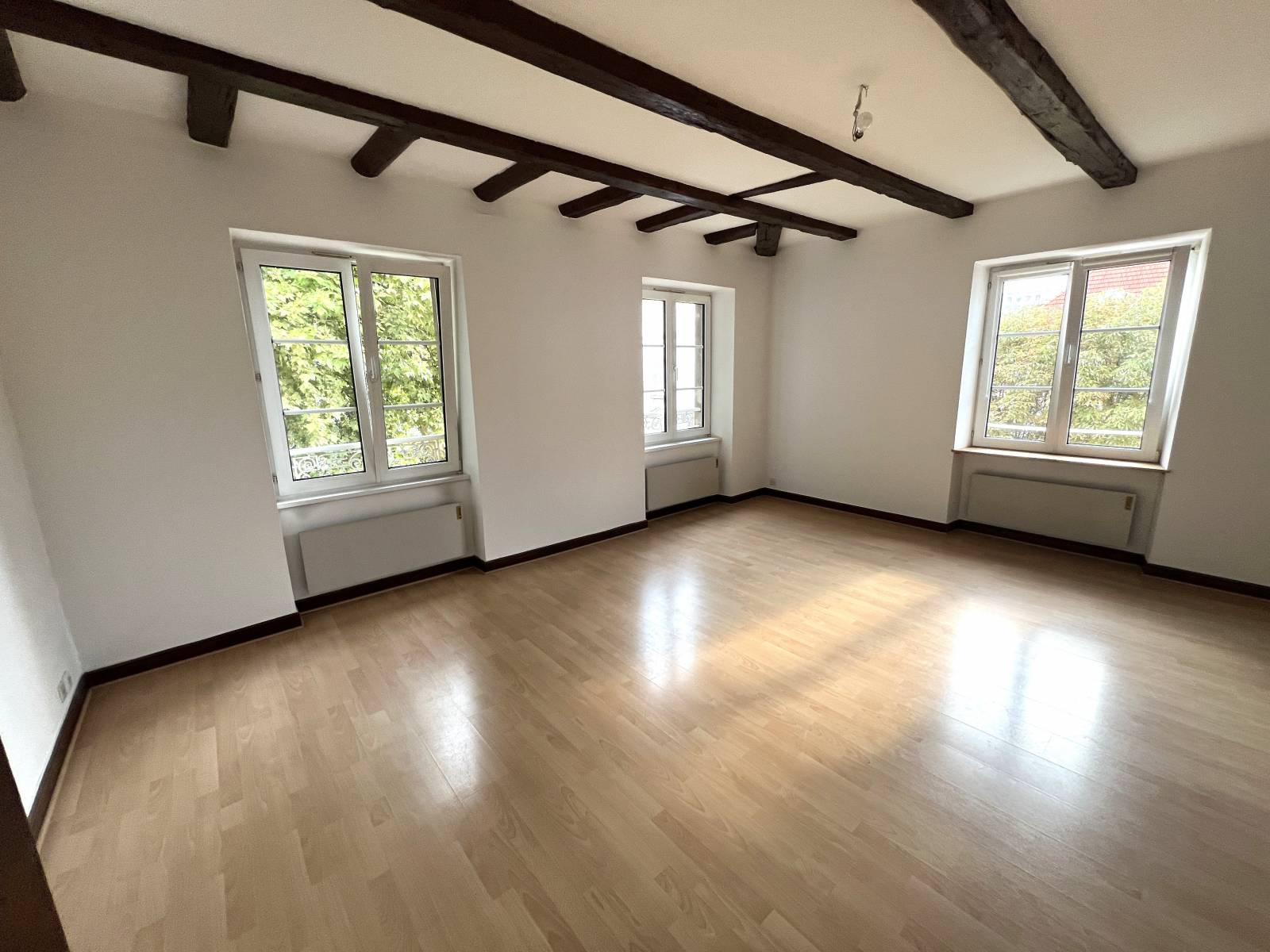 3 PIÈCES 67 M² QUARTIER ESPLANADE-KRUTENAU STRASBOURG