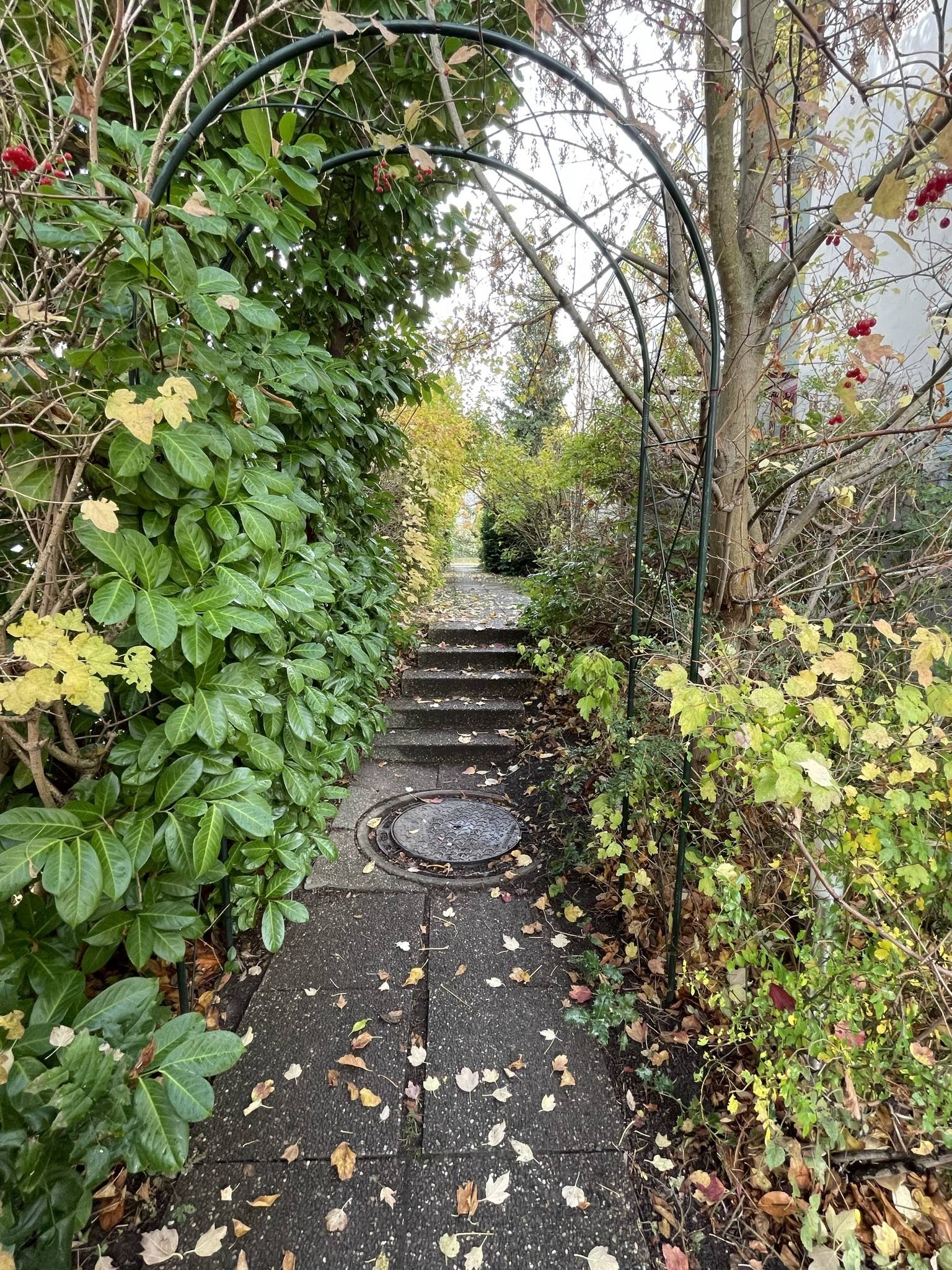 Appartement 2 pièces 42 m² à louer à Strasbourg (67200) avec une petite copropriété très arborée