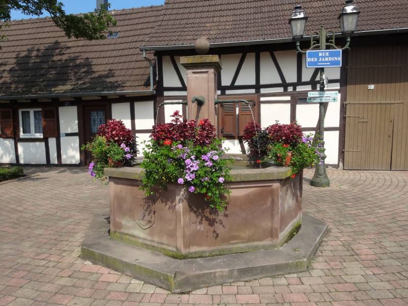 Appartements neufs L’Exclusif à Mittelhausbergen