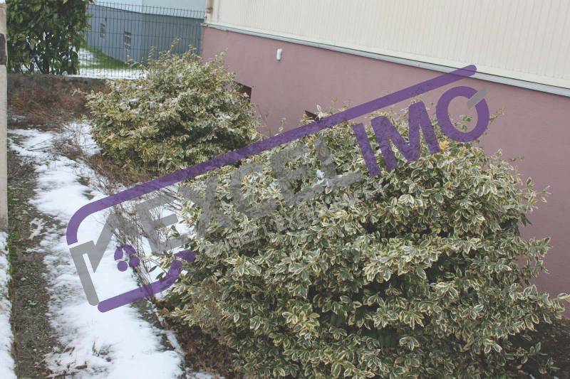 Maison 4/5 pièces de 108m² à vendre à Haguenau (67500) avec un jolie coin extérieur