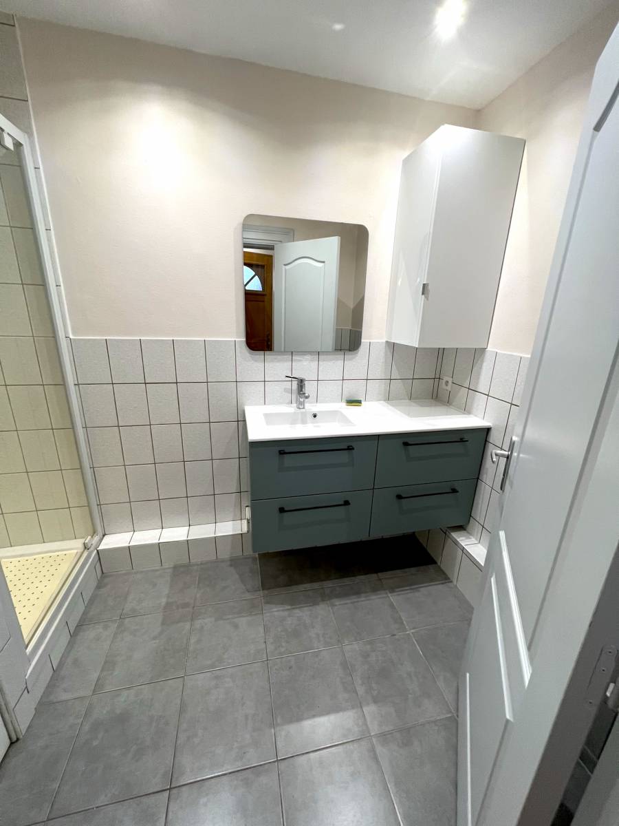 Appartement avec salle de bain équipée d'une douche et d'un meuble vasque à louer à Strasbourg