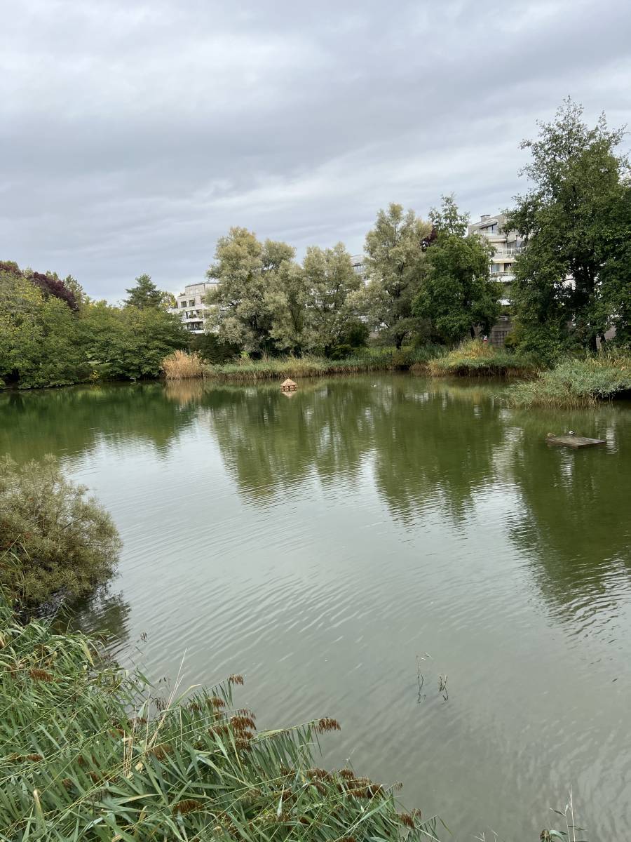 Appartement à louer, 3 pièces de 68.64m² – Quartier Orangerie Bon Pasteur