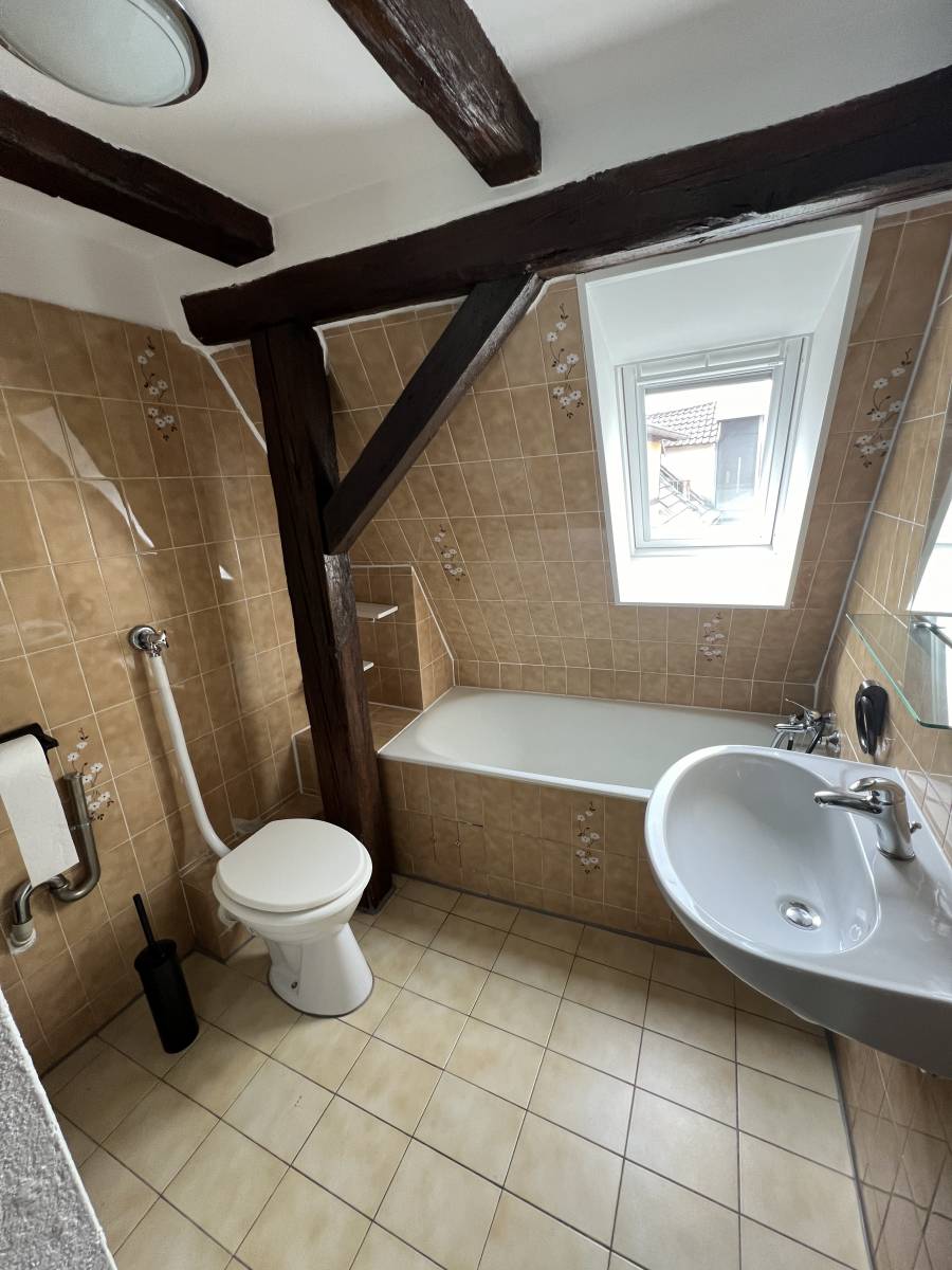 QUARTIER ESPLANADE-KRUTENAU 2 pièces de 37m² au sol charme et authenticité