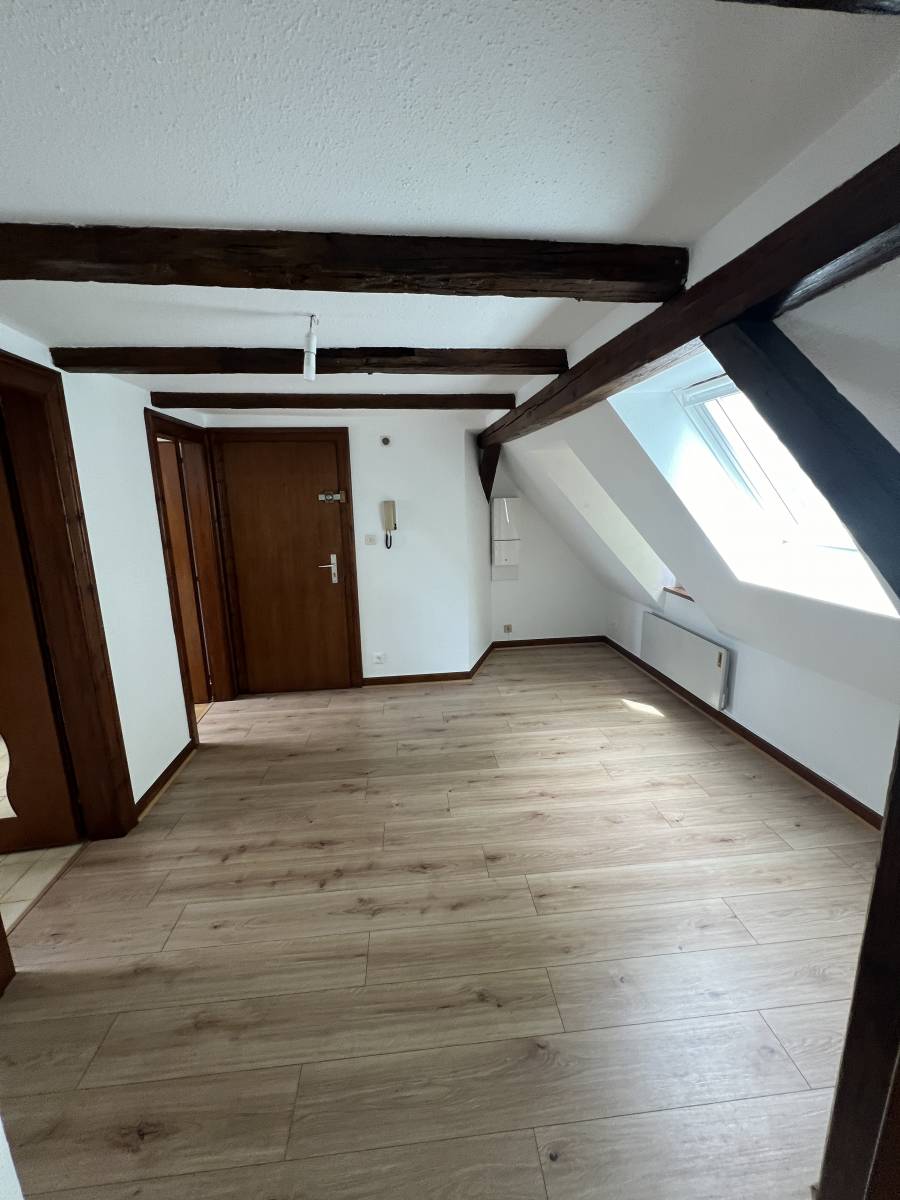 QUARTIER ESPLANADE-KRUTENAU 2 pièces de 37m² au sol charme et authenticité