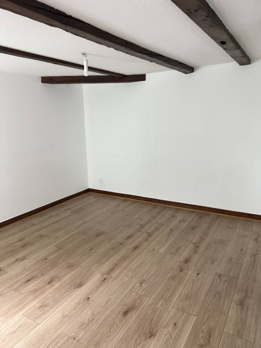 QUARTIER ESPLANADE-KRUTENAU 2 pièces de 37m² au sol charme et authenticité