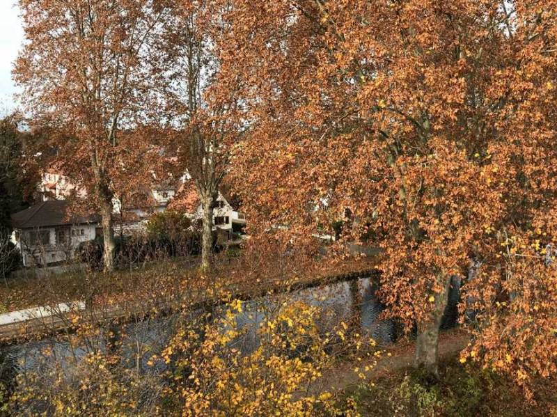 Logements neufs à Illkirch-Graffenstaden